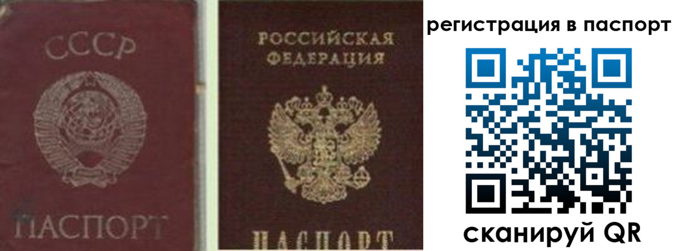 прописка для работы в Ясногорске